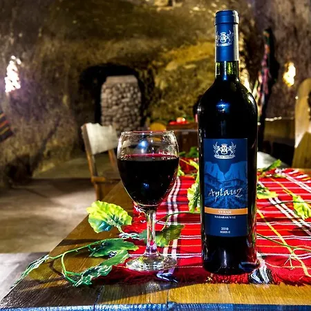 ホテル メルニック 3* メルニック