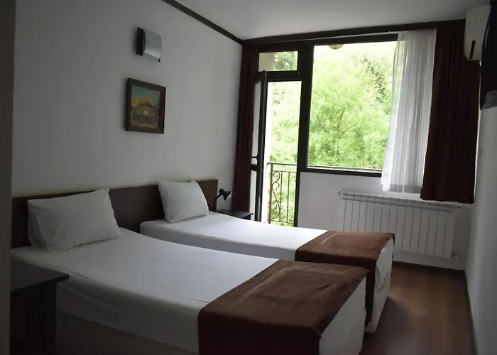 Hotel Hotel Melnik Хотел Мелник Melnik (Blagoevgrad)